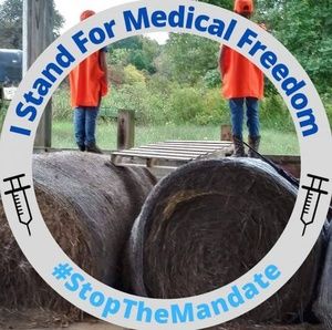 Meet your Posher, Dale